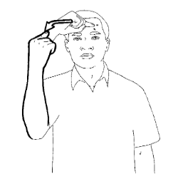 <p></p>