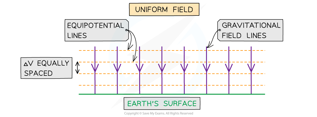 <ul><li><p>A surface that consists of points that all have the same gravitational potential.</p></li><li><p>Are always perpendicular to field lines.</p></li><li><p>Can never cross or meet any equipotential that has a different value.</p></li></ul><p></p>