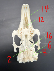 <p>4</p>
