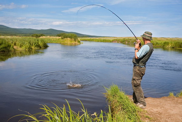 <p>go fishing</p>