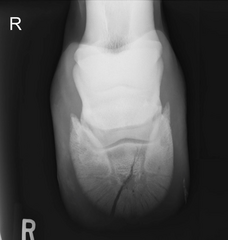 <p>Describe the findings of this study</p>