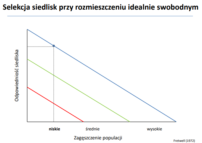 <p>osobniki mogą się bez przeszkód przemieszczać między dostępnymi siedliskami</p>