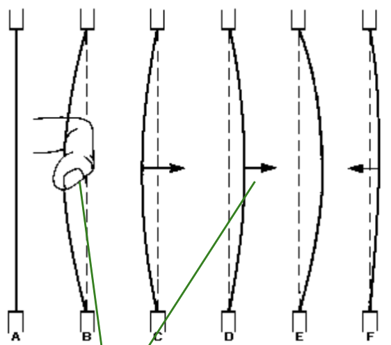 <p>properties of the muscles and tissues</p>