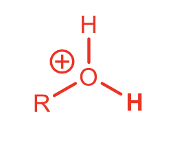 <p>Protonated alcohol</p>