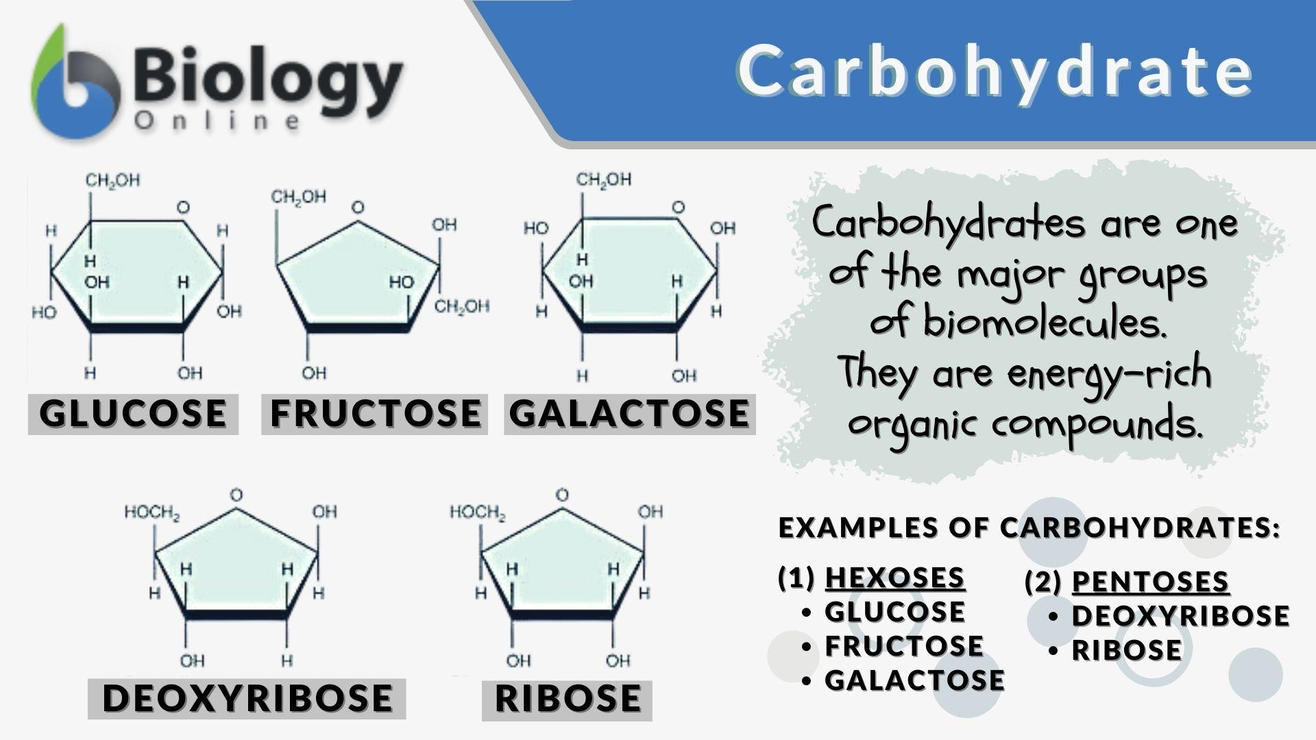 <p>Carbohydrate</p>