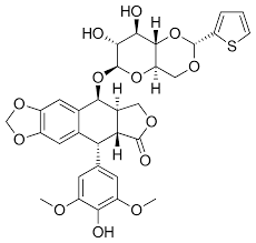 <p>teniposide</p>
