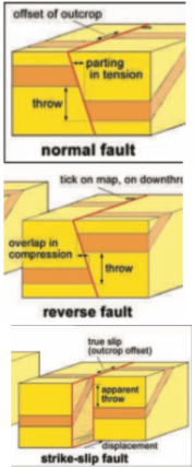 <ul><li><p>Normal</p></li><li><p>Reverse</p></li><li><p>Strike-slip</p></li></ul><p></p>