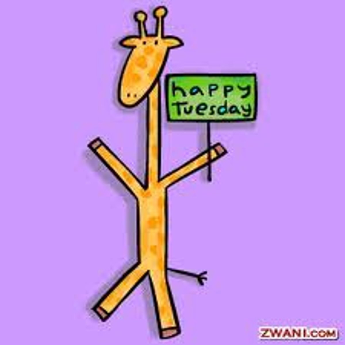 <p>on Tuesdays</p>