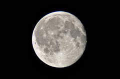 <p>the moon</p>