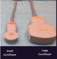 <p>What is a curvilinear transducer used for?</p>
