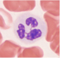 <p>What does this image show?</p>