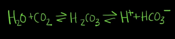 <p><span>Which of these molecules is the body's buffer?</span></p>