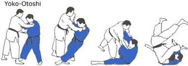 <p>YOKO-SUTEMI-WAZA Side block</p>