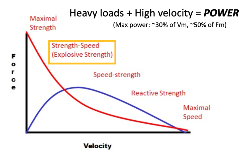 <p>heavy loads + high velocity</p><ul><li><p>30% of Velocity max</p></li><li><p>50% of Force max</p></li></ul><p></p>