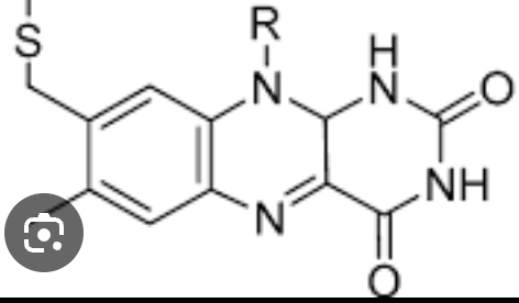 <p>FAD</p>