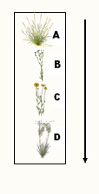 <p>In hierarchical/transitive communities, an external force is needed to maintain diversity. </p><p>But in non-transitive competitive networks (A beats B, B beats C, C beats A), diversity can be maintained internally without any outside intervention.</p><p>Picture equal transitive community</p>