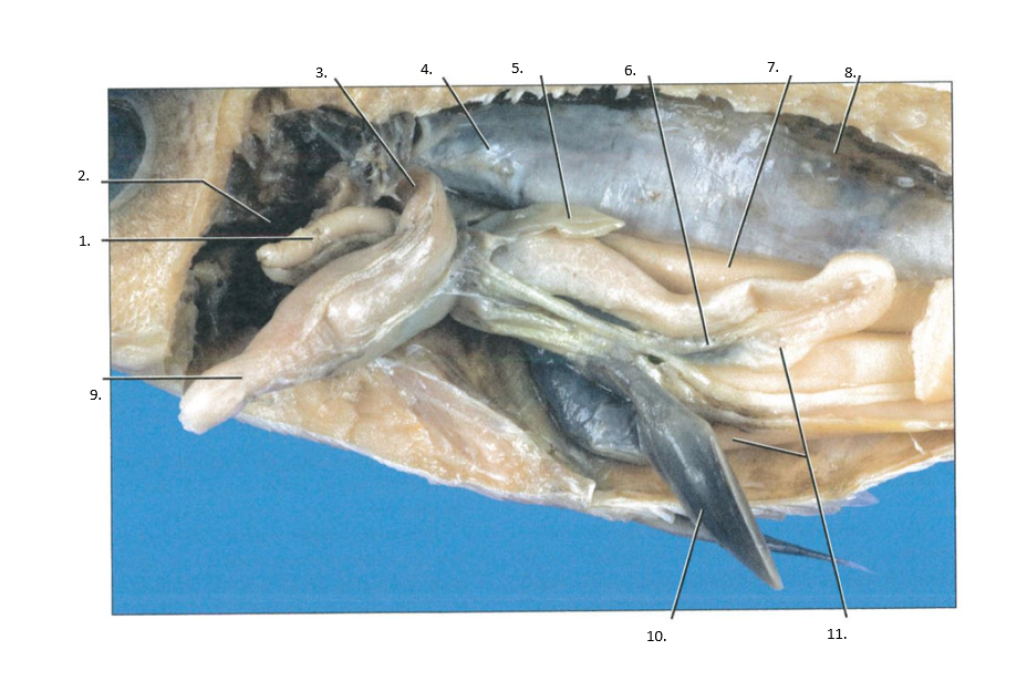 <p>SAME WITH THIS</p>