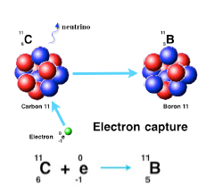 <p>Electron Capture</p>