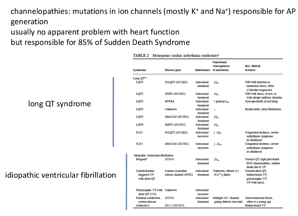 <p>Mutations in ion channels can occur and they are responsible for 85% of sudden death syndrome (a young sports person doing hard exercise and then spontaneously dying)</p><p>The channels are usually targets for medicine to fight cardiovascular diseases - eg/ arrhythmias and hypertension targets (eg ion channel inhibitors)</p>