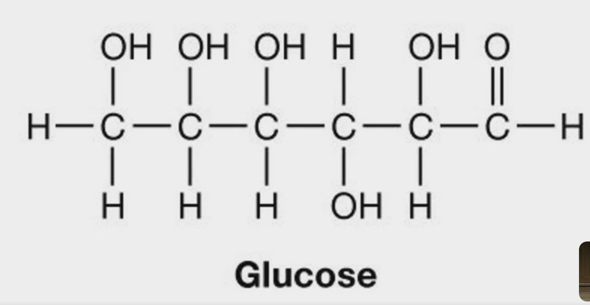 <p>Carbohydrates:</p><p>Carbonyl at one end forms … which is called …</p>