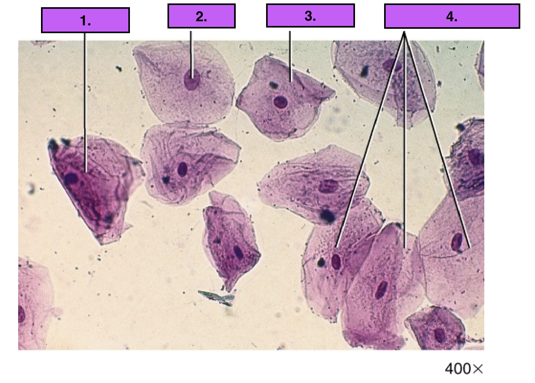 <p>Identify part #2.</p>