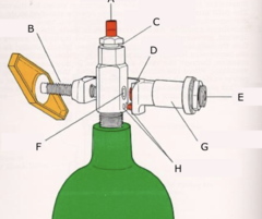 <p>E?</p>