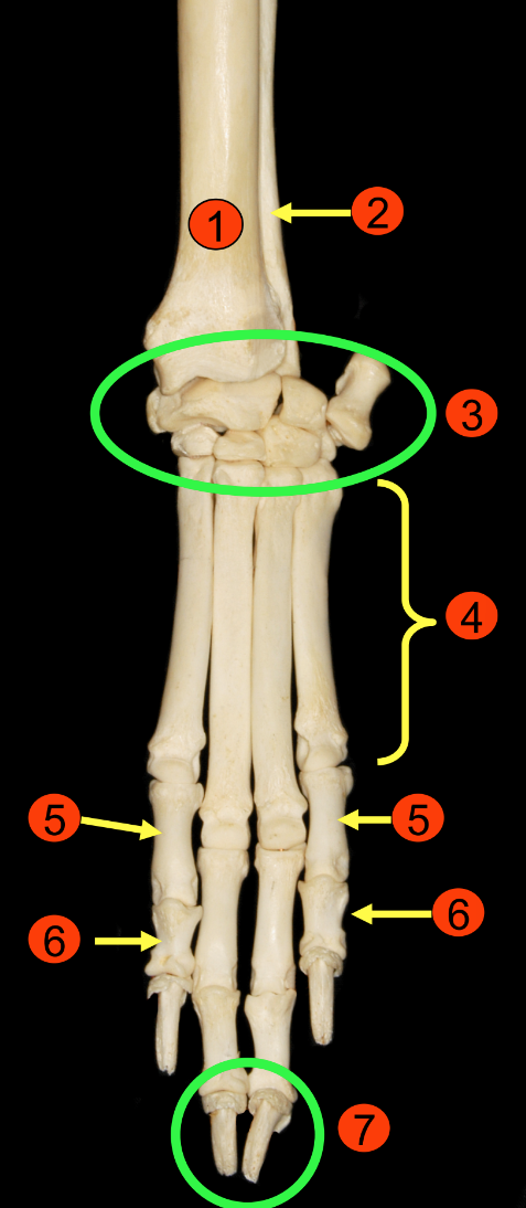 <p>1 </p>