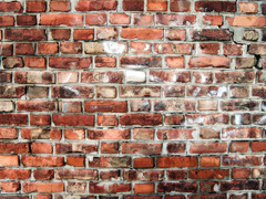<p>la pared</p>