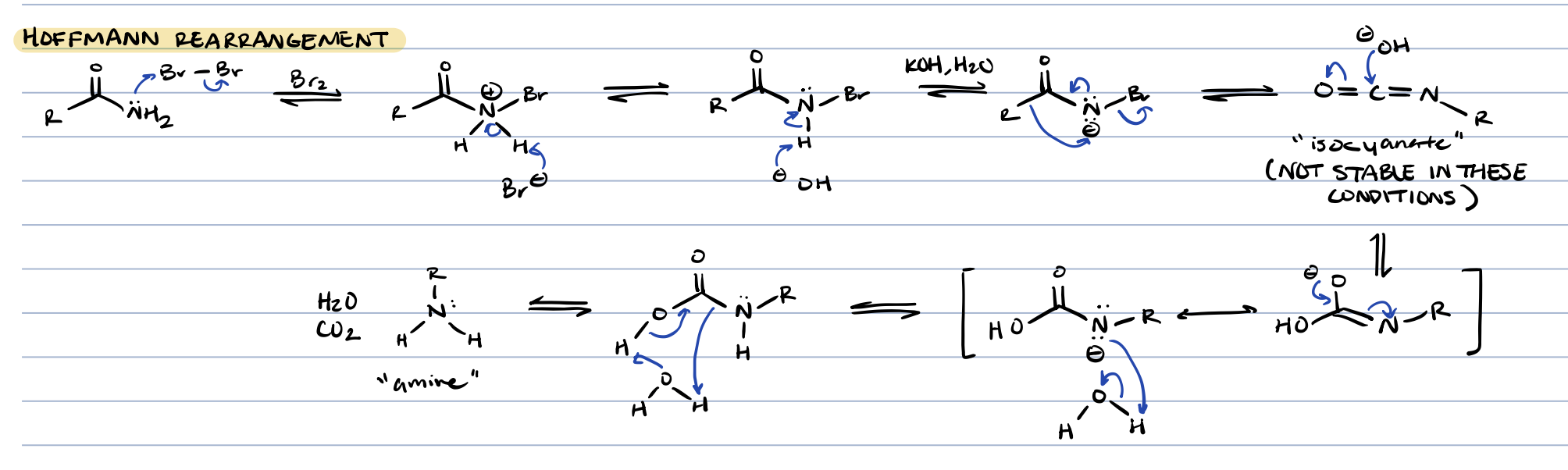 <p>amine, CO<sub>2</sub>, H<sub>2</sub>O</p>