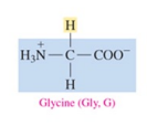 <p>nonpolar amino acids with H as R group</p>
