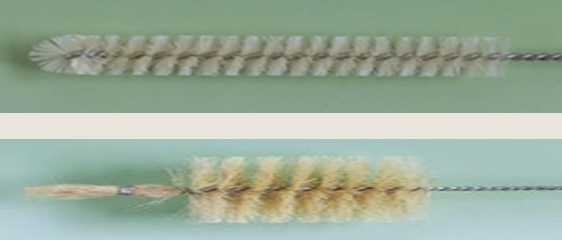 <p>Test Tube Brush</p>