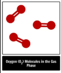 <p>element, compound or mixture</p>