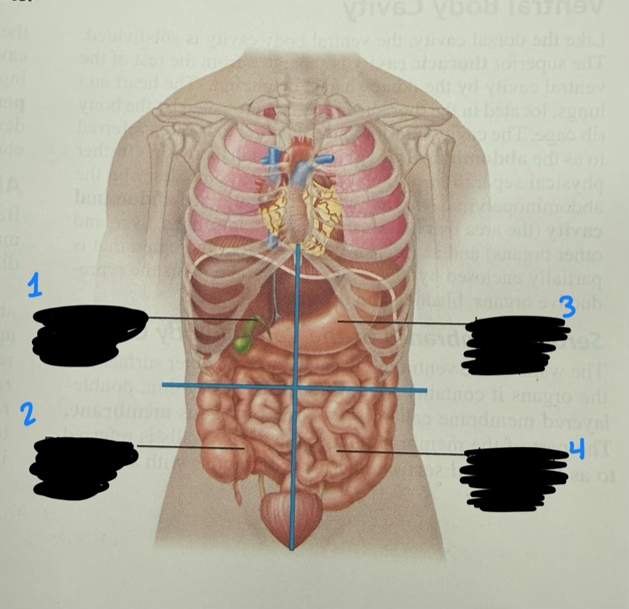 <p>4</p>