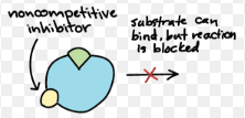 <p>bond to the enzyme at a different site</p>