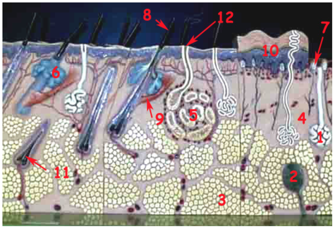 <p>2</p>