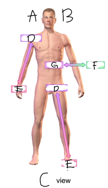 <p>What is F</p>