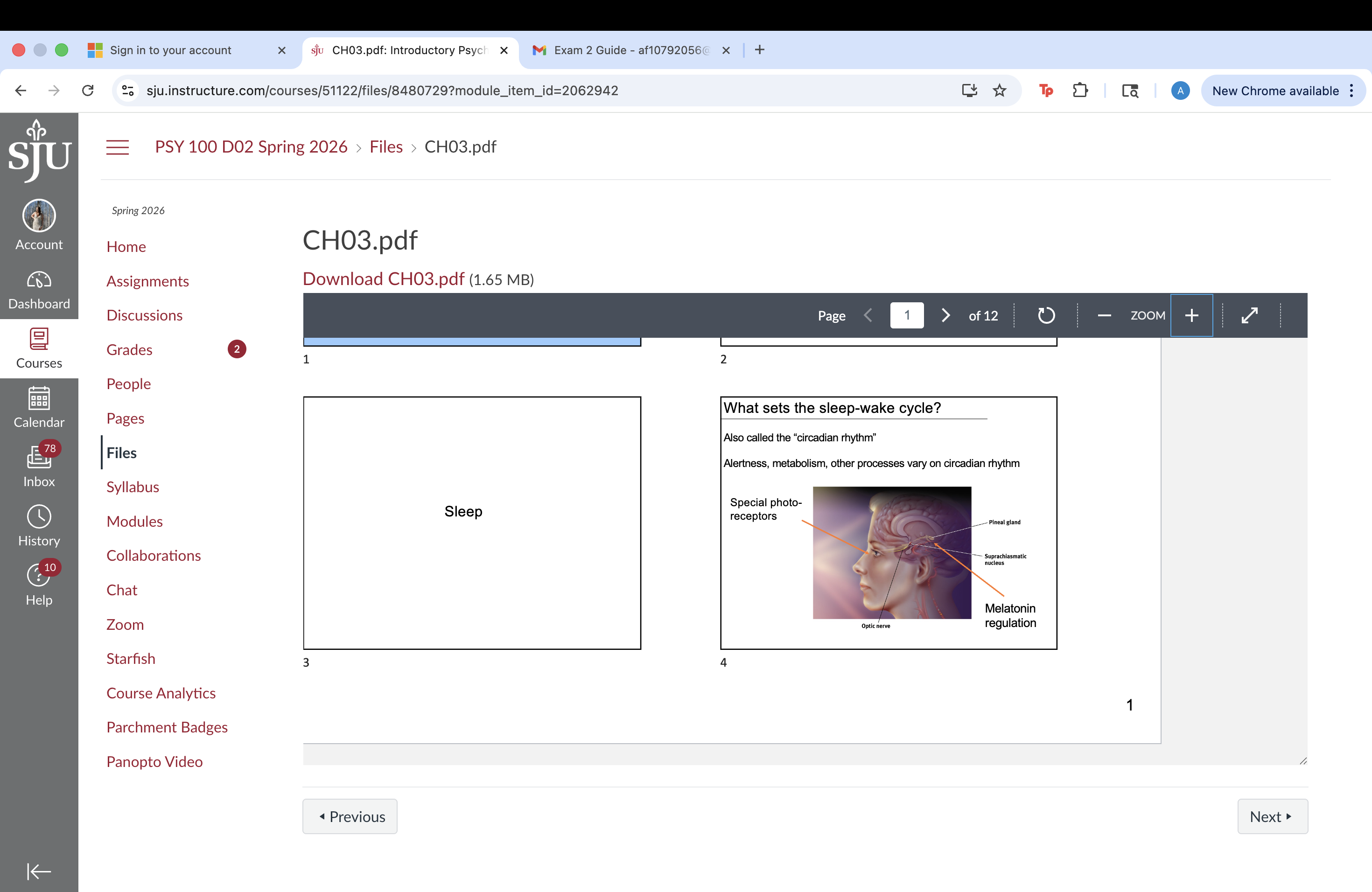 <p>Also called the “circadian rhythm”</p><p>Alertness, metabolism, other processes vary on circadian rhythm</p>