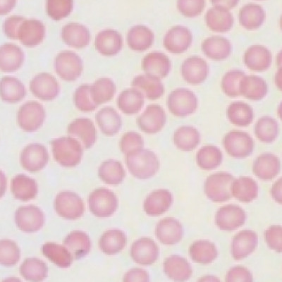 <p>1</p>