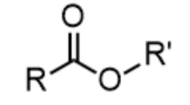 <p>ester - prefix &amp; suffix</p>