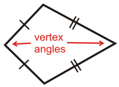 <p>The angles between the pairs of congruent sides</p>