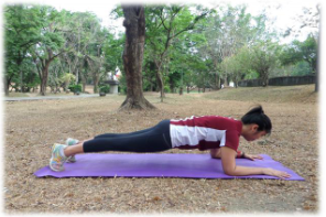 <p>This is the most basic plank pose that was presented in the latter part of this module.</p>