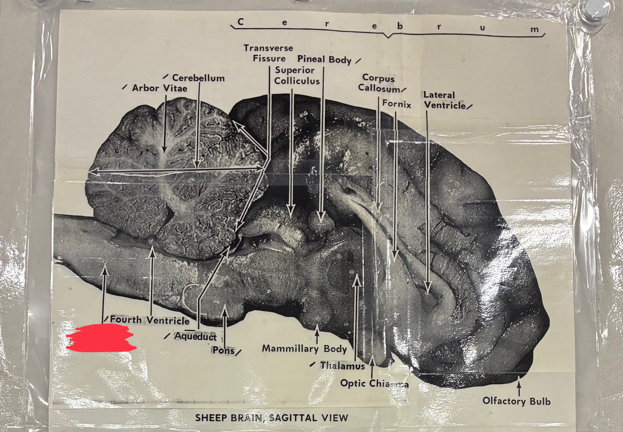 <p>?</p>