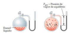 <p>📌 DEFINICIÓN:</p><p>Es la presión que ejerce el vapor de un líquido sobre sus paredes, a una temperatura determinada 🌡️📈</p><p>📌 CARACTERÍSTICAS CLAVE:</p><p>🔹 Propiedad INTENSIVA 🎯</p><p>NO depende de la cantidad de sustancia 🚫📏</p><p>SOLO DEPENDE de la naturaleza de la sustancia y la temperatura 🌡️</p><p>🔹 Relación con VOLATILIDAD 🔄💨</p><p>Alta presión de vapor = Alta volatilidad 📈</p><p>Baja presión de vapor = Baja volatilidad 📉</p><p>📌 EQUILIBRIO DINÁMICO ⚖️🔄</p><p>LÍQUIDO 💧 ⇄ VAPOR 💨</p><p>Mismo número de moléculas que evaporan vs condensan</p><p>Presión constante en equilibrio 📊</p>