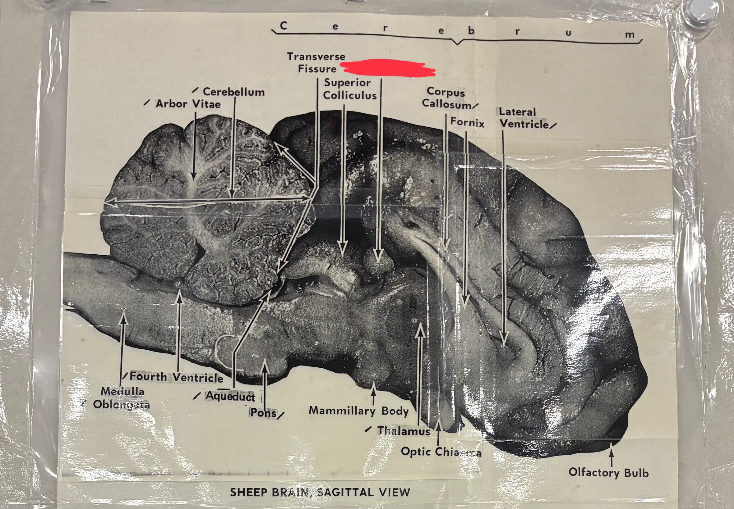 <p>?</p>