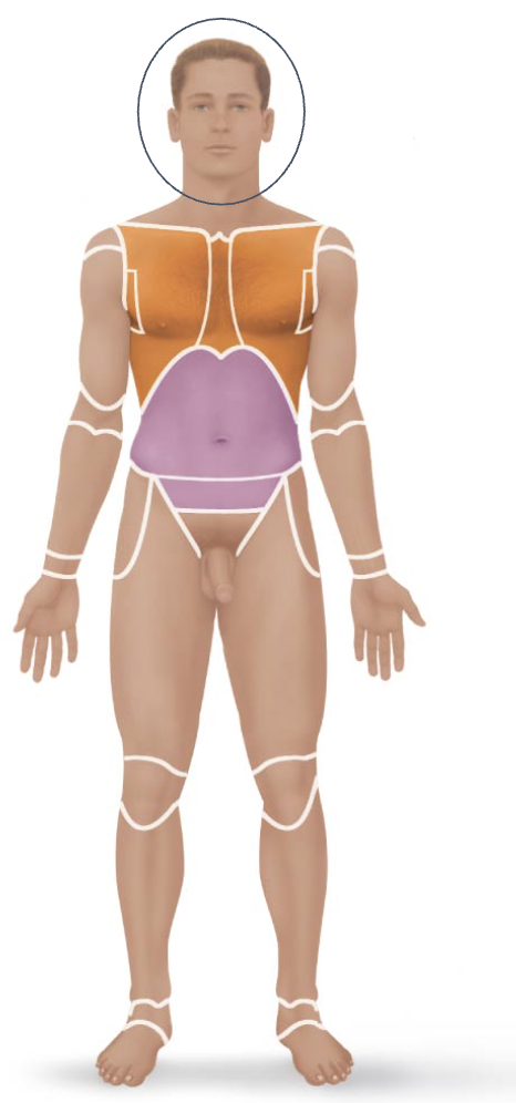 <p>Medical term, region, anteiror/posterior?</p>