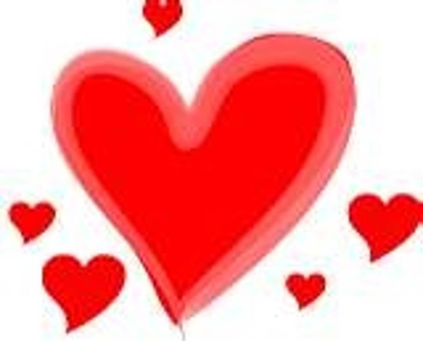 <p>to love, I love animals</p>