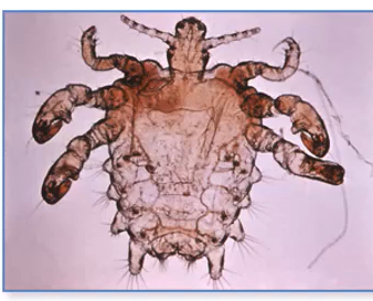 <p>What is this?</p>