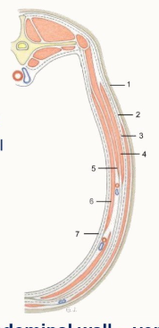 <p>Label this image</p>