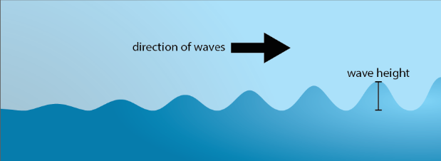 <p>this wave is increasing in height. what does that say about the water depth at this location?</p>
