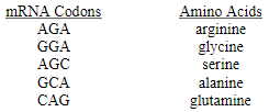 <p>. . . . glycine-serine-glycine . . .</p><p>Which of the following DNA strands will code for the amino acid sequence shown above?</p>